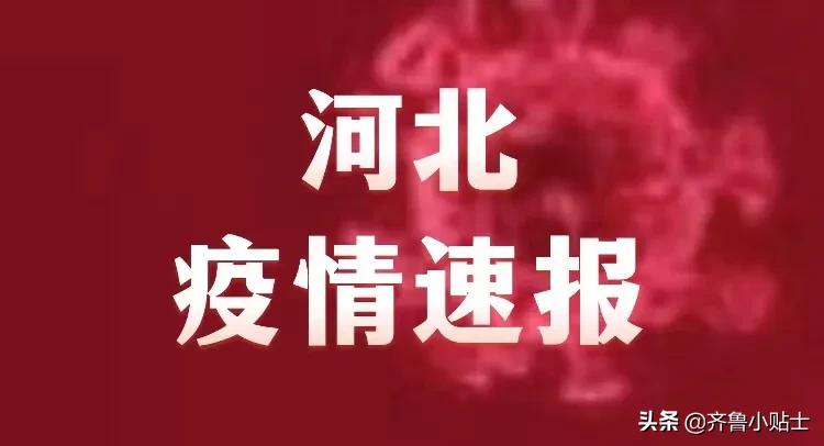 河北省最早疫情的历史回顾与反思