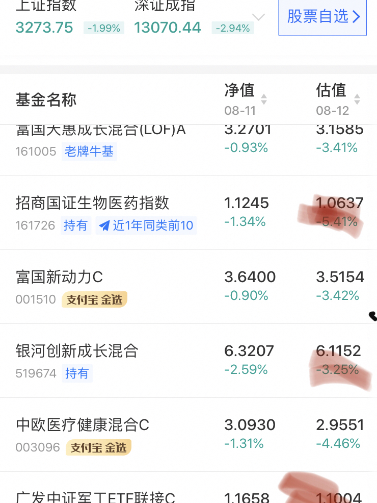 今日基金行情分析与展望，早期动态解读市场趋势